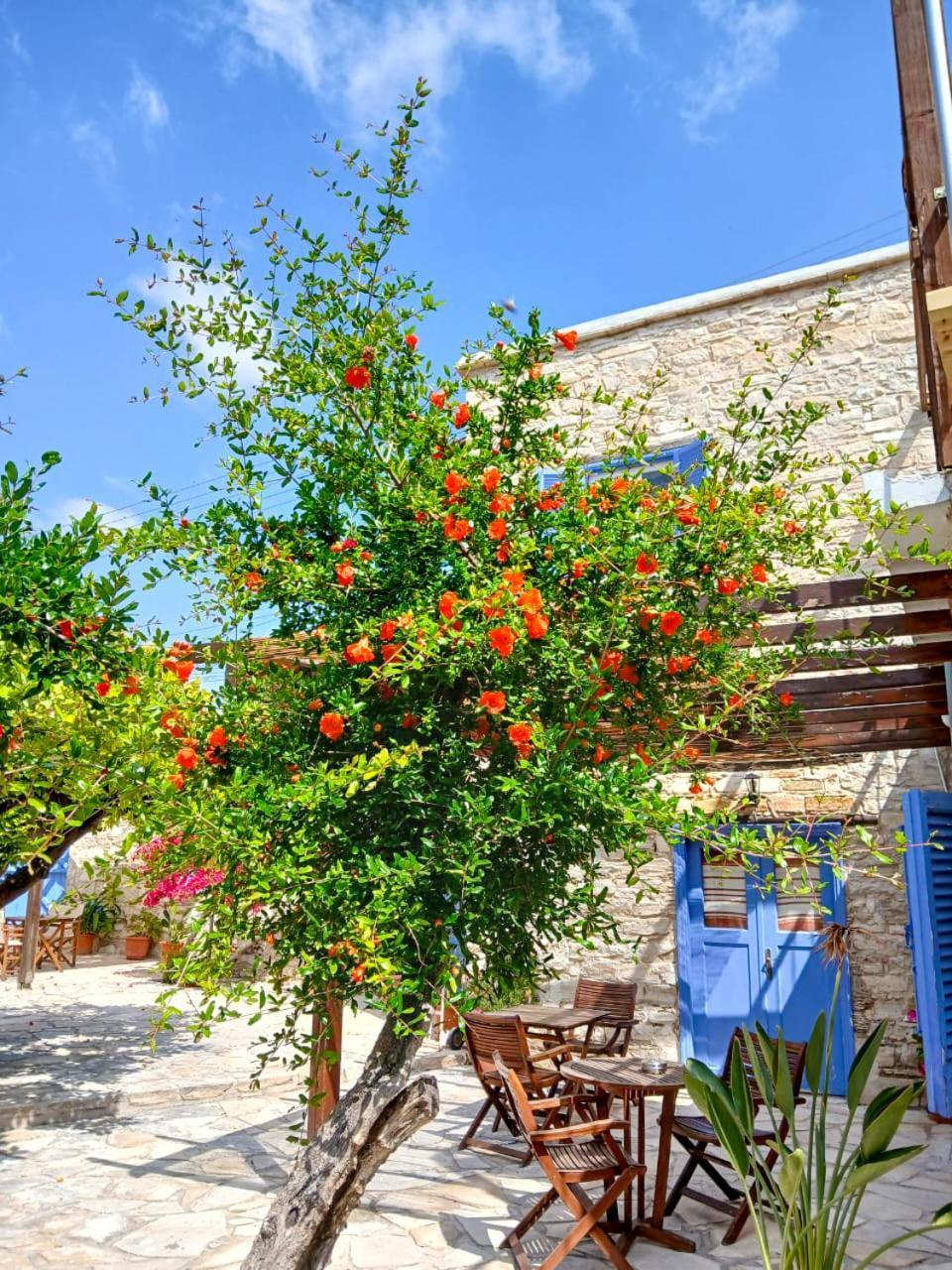 Athena'S Pool Oasis Skarinou Exterior foto